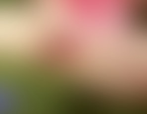 00373_FaggotChristmas