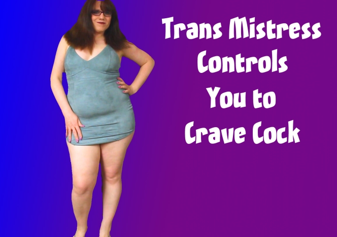 00471_MistressControls