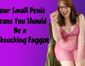 00542_SmPenisFaggot